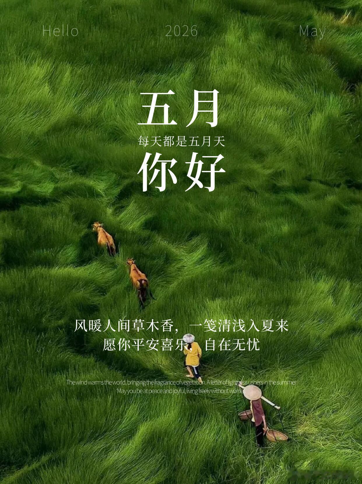 暮春落幕，浅夏启程，温柔五月，款款而来～