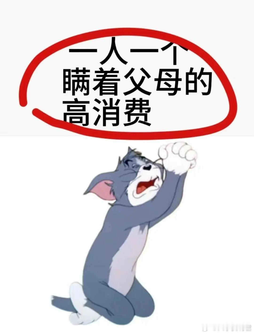 一人一个瞒着父母的高消费​​​