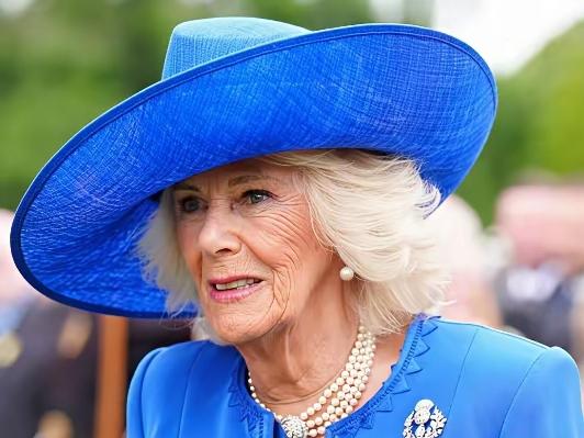 “识时务者为俊杰”，卡米拉该明白了！没有王室的血脉！没有家族的助力！连查尔