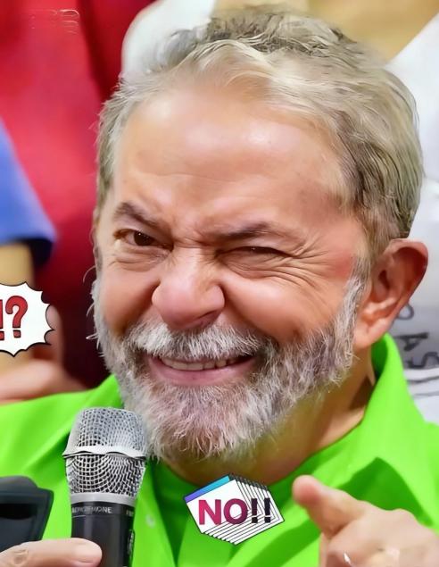 巴西还是动手了！2026年4月6日，巴西外贸委员会一纸决定传遍全球。针对中国