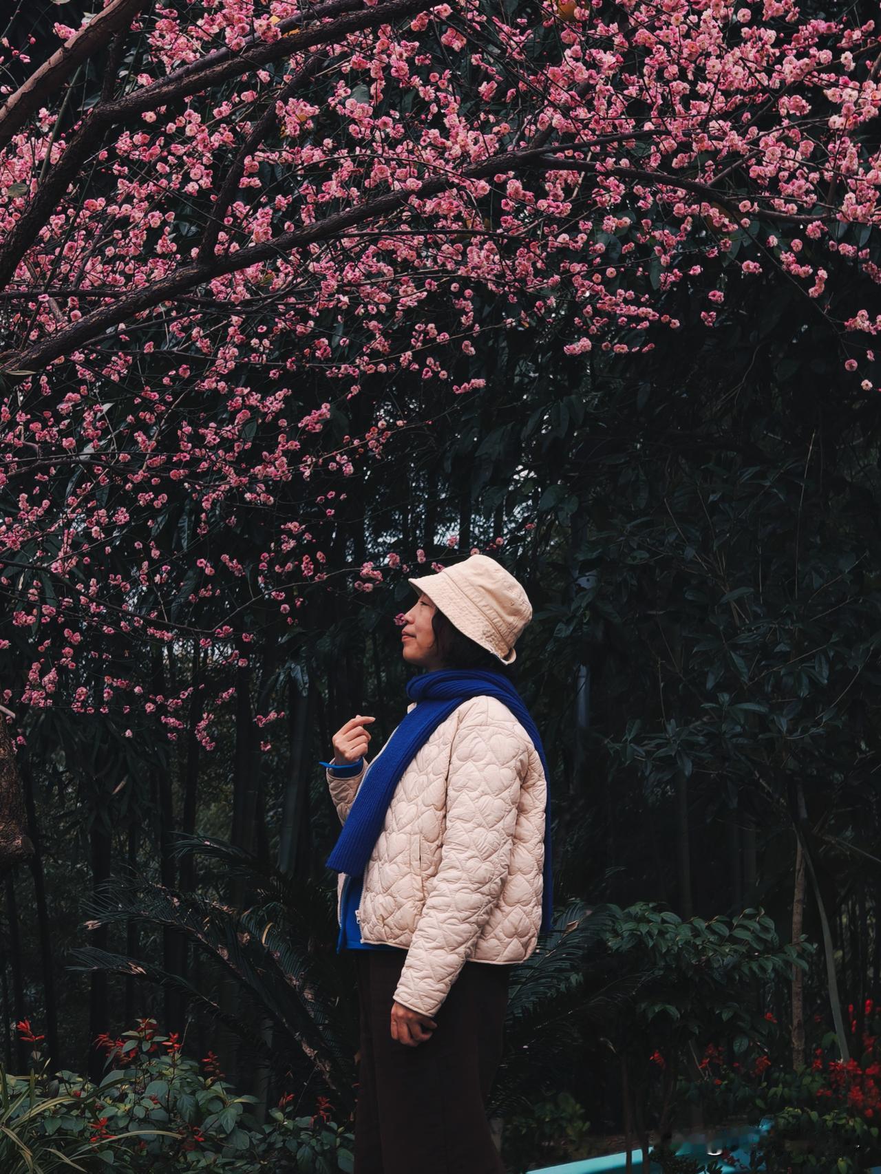 有诗云踏雪寻梅，而我去竹海寻梅。刚进蜀南竹海，满眼都是翠绿的竹子，微风拂过，沙沙