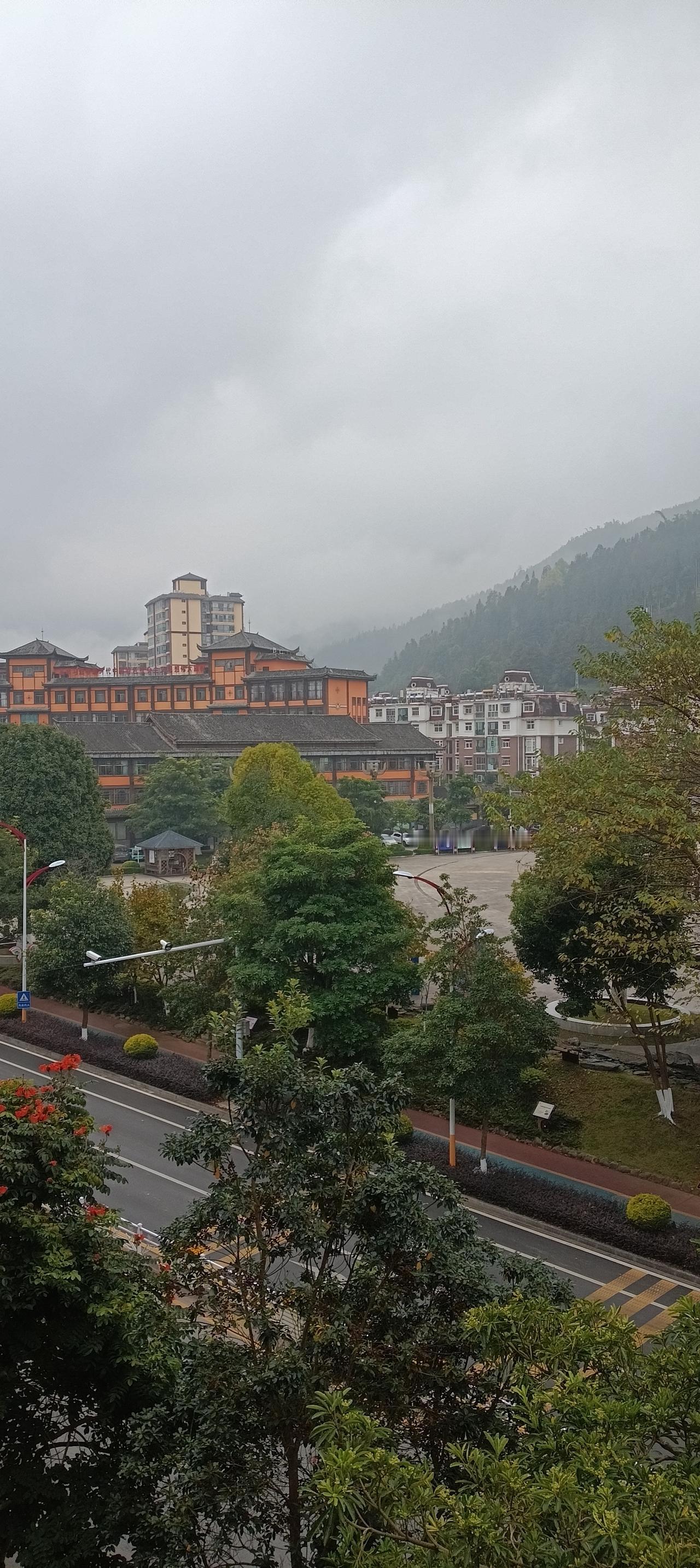 分享一张最近随手拍的照片分享随手拍的照片请多多点赞