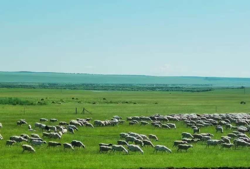 一个匿名老哥把DDD3昨天的开奖数据拆成中间数振幅、789跨、组选大底，发完还补