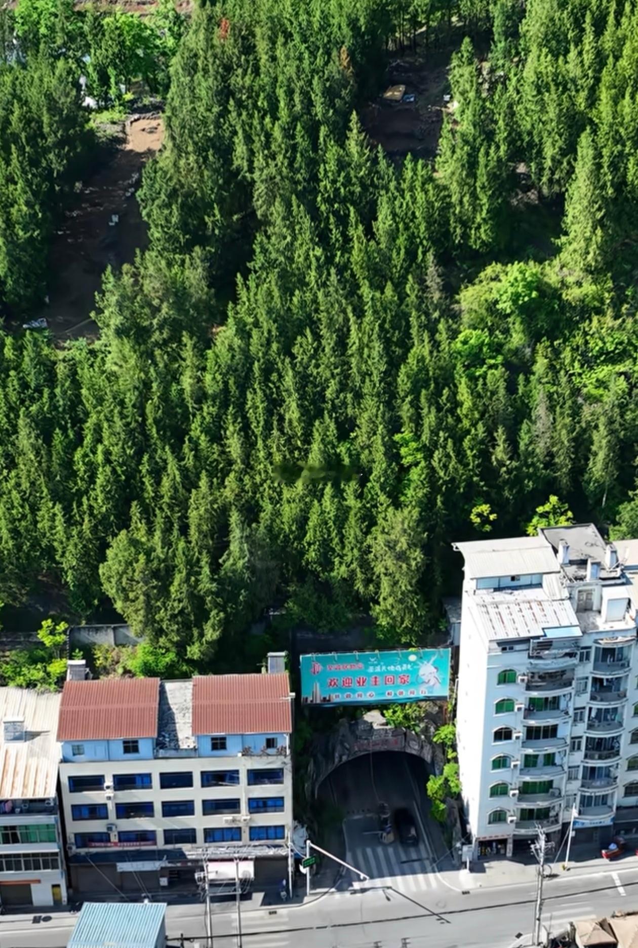 有网友说：重庆一个小区，进出口是个隧道。业主回家，每天穿过一座山。这就是“魔幻”