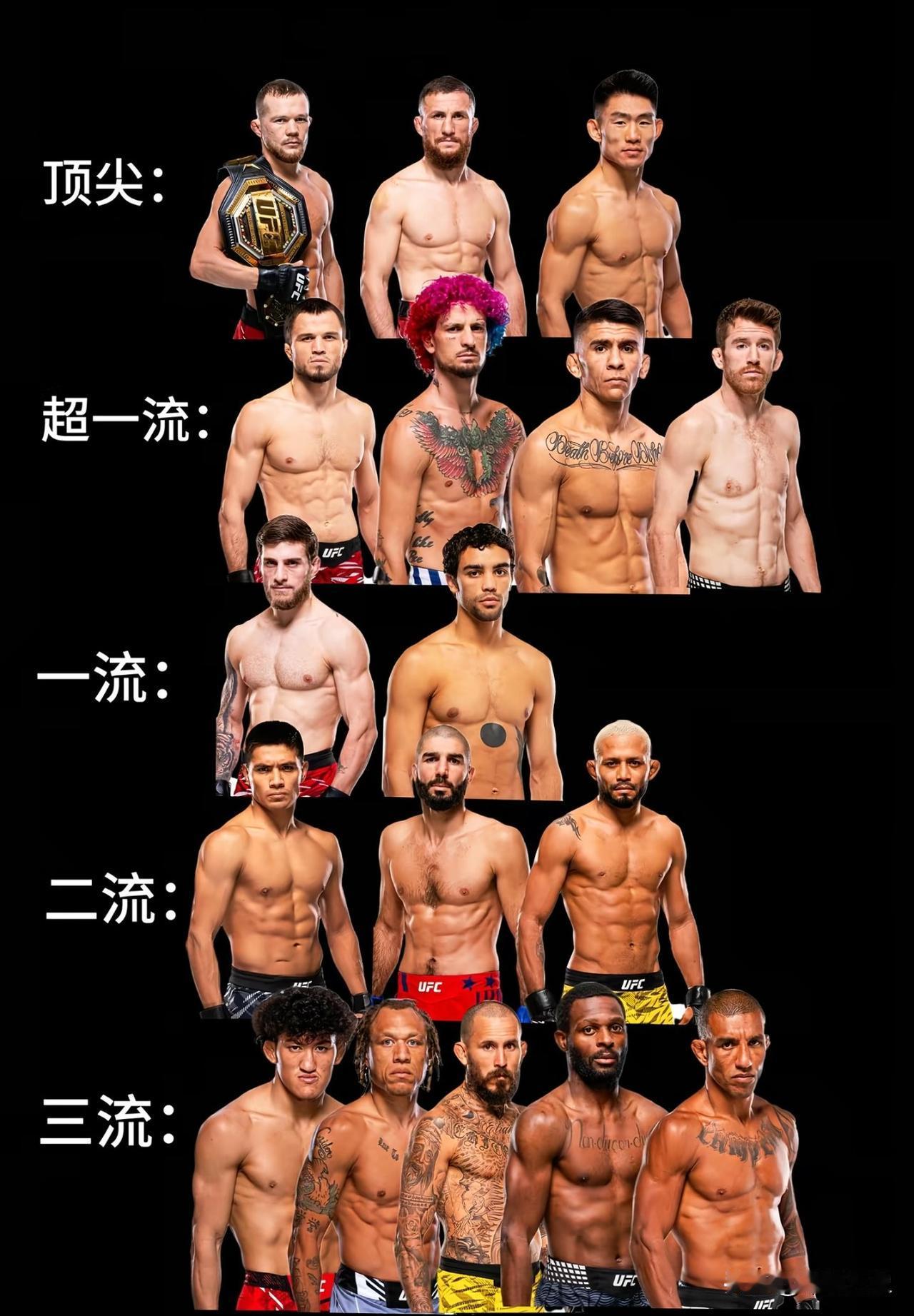 UFC雏量级ufc排名