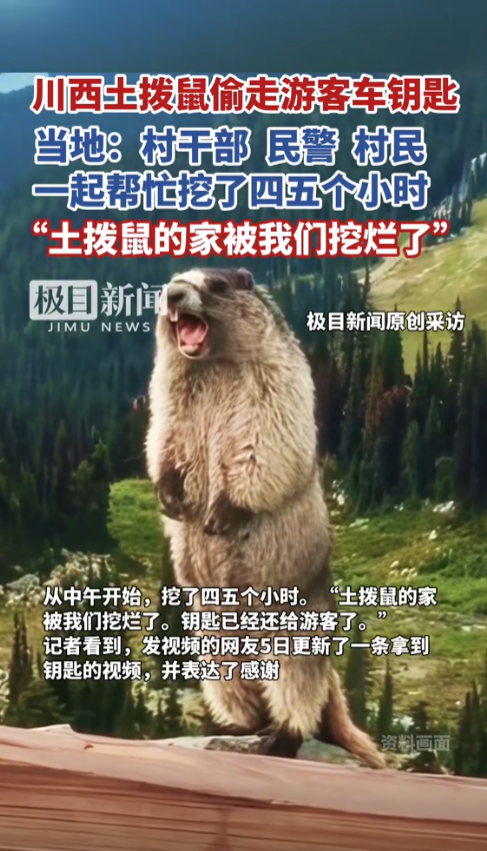 离了个大谱！”四川甘孜，一男子在自驾游时，在路上突然被一只土拨鼠偷走了车钥匙！男
