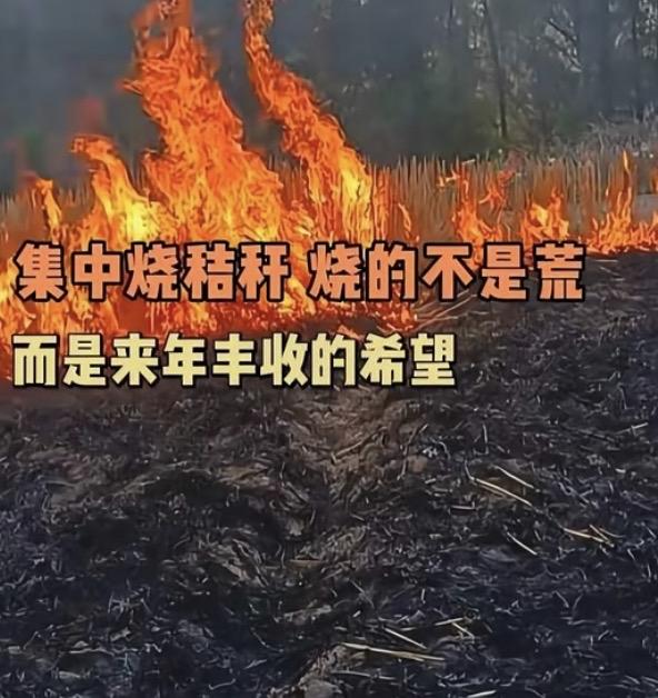 前阵子刷到央视下乡调研秸秆禁烧的视频，真的给我看愣了。现场一个农村大娘，没半句虚