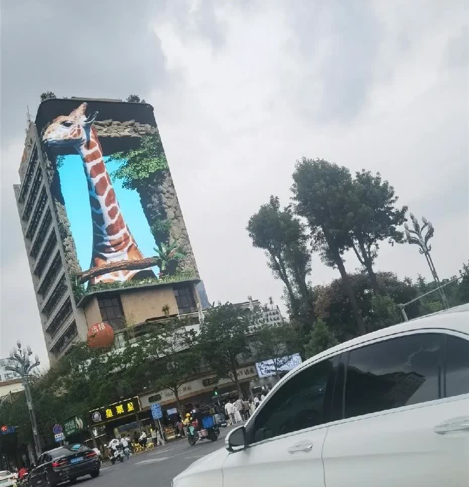 一大早的被一阵激烈的啪门声吓坏了！嘭嘭嘭！不知道发生什么事了，我不敢开门，把老公