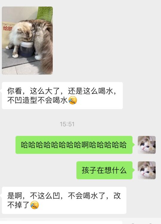 看到照片后疑似失去所有力气😳