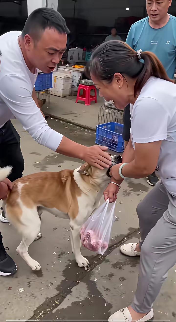 又是狗子不栓绳，把大姐咬得哇哇叫，狗主人还温柔的拍打狗头，就这种狗子不打死还会继