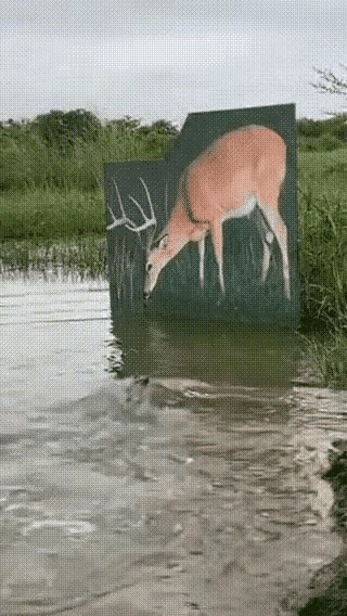 鳄鱼：今天有大餐了怎么今天这大餐那么难以吃到我跳，我在跳