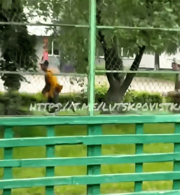 乌克兰男子街头狂奔躲避征兵我了个去！你绝对想不到，乌克兰