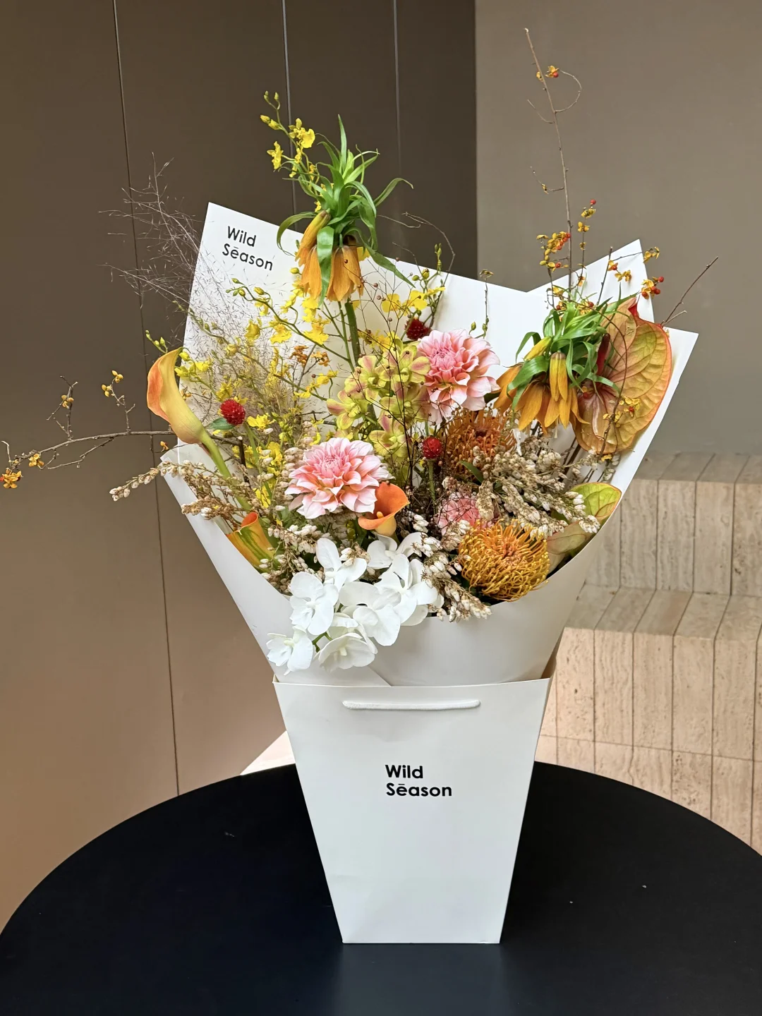 WildSeason｜春日秋花Autumn Blossoms🌼