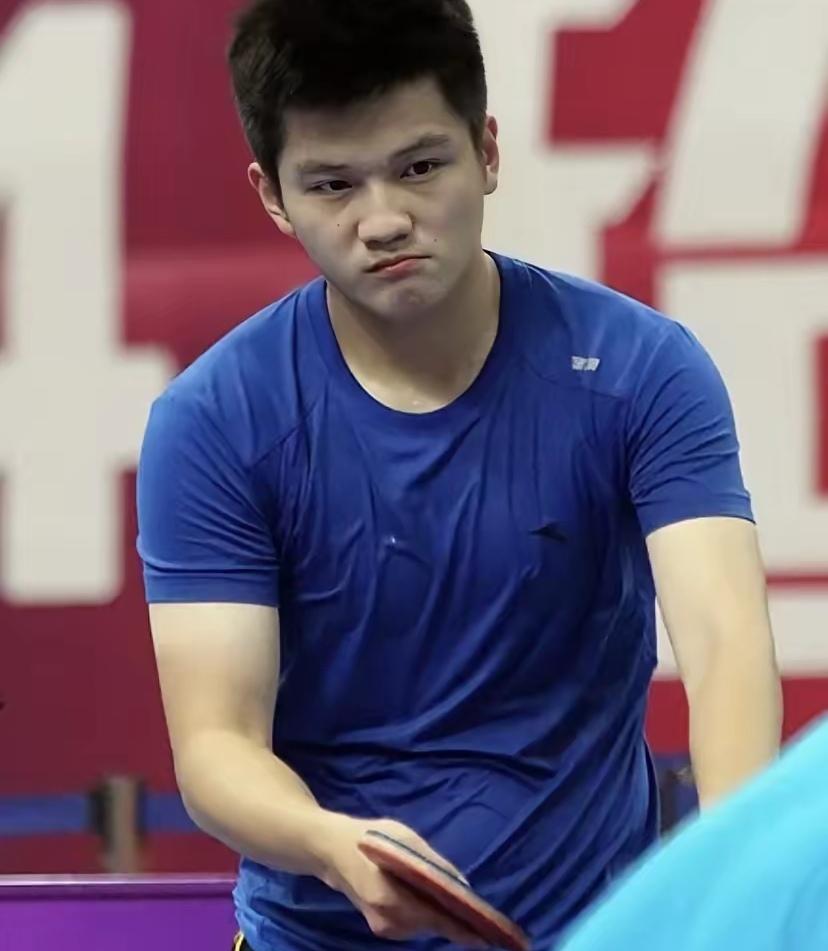 国际乒联主席索林真贼，一句话就把难题抛给了中国乒协。他说：樊振东可以采用朝鲜球员