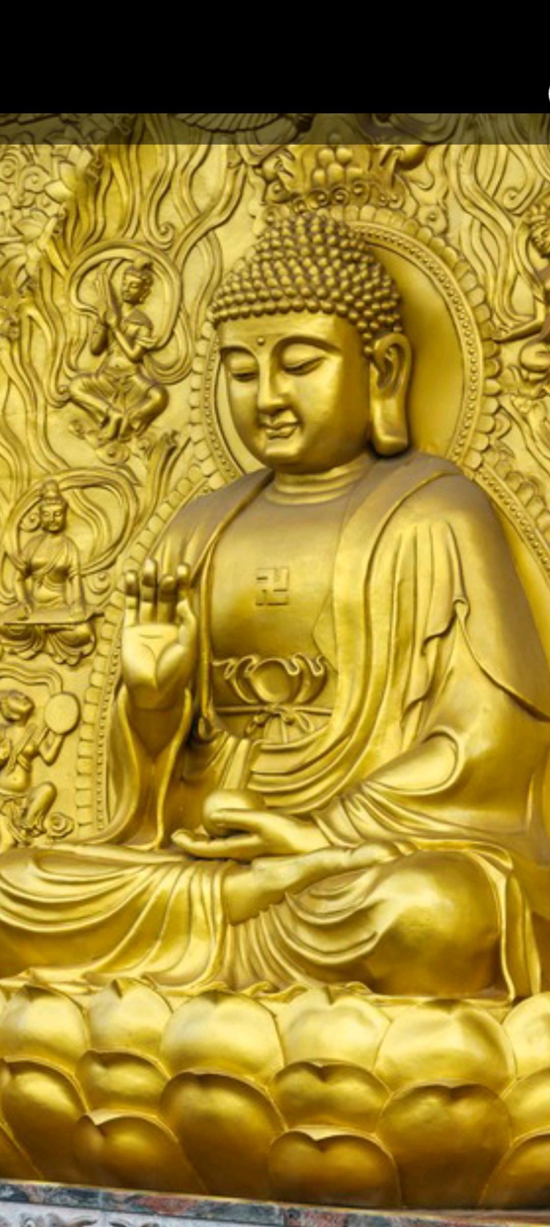 佛说，烦恼本空，只因执念而生。你若不执，烦恼自无。如莲出淤泥而不染