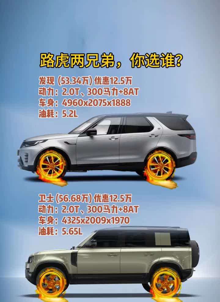 路虎两兄弟，你选谁？