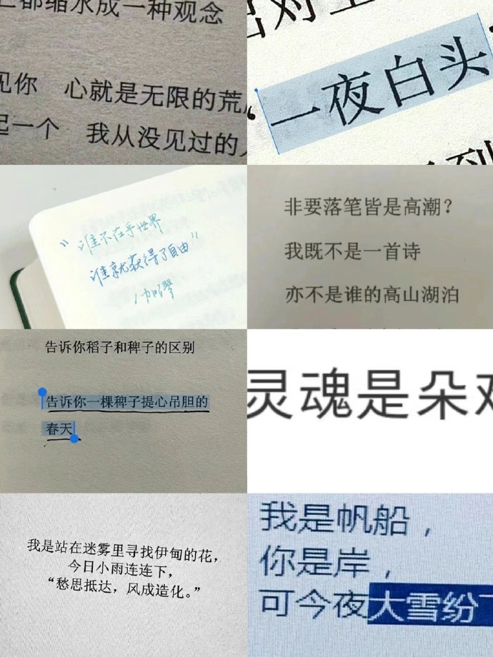 灵魂是朵难养的花