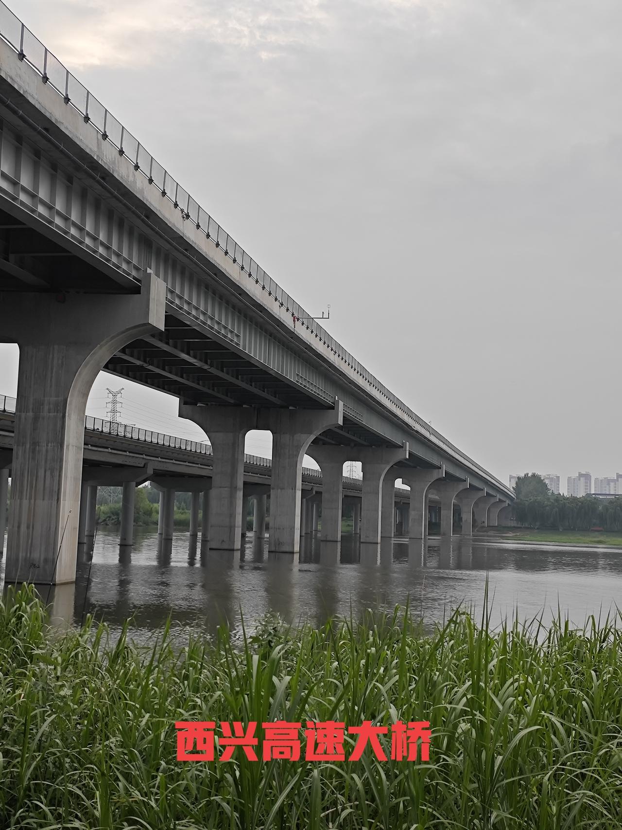 和老婆吵架了昨天下午，带着老婆和狗狗，沿着渭河南岸河堤路向西，来到西兴高速桥