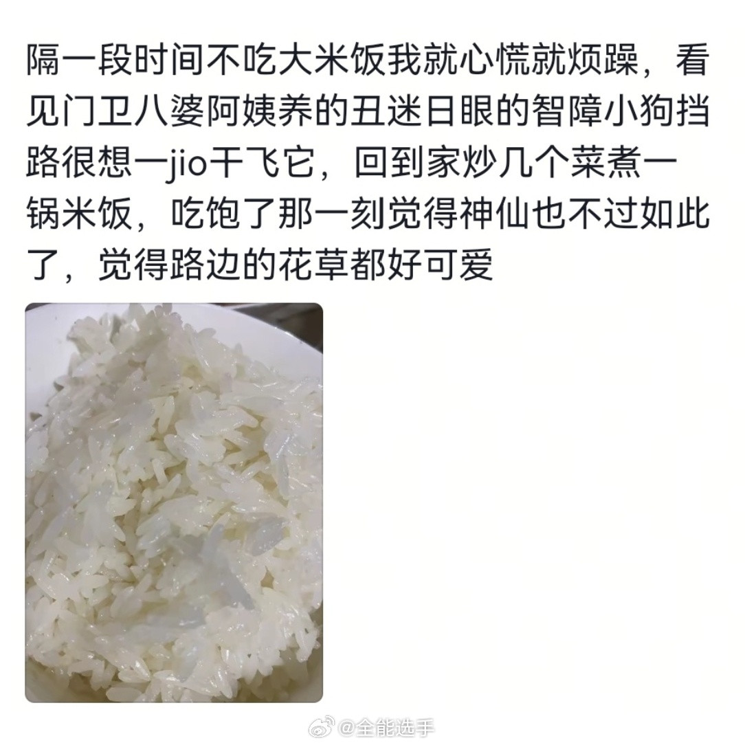 人的底层代码其实特别简单