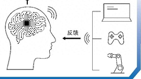 脑机接口“沪”动未来: 当医疗刚需碰撞技术狂飙