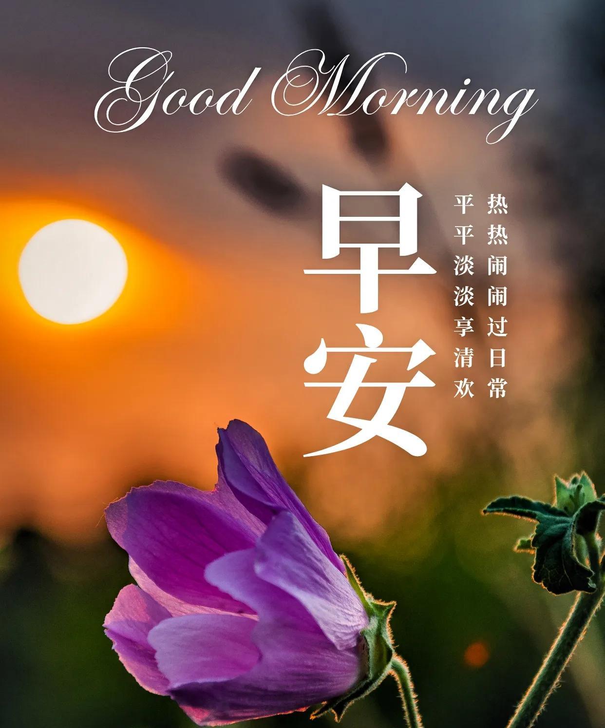 年龄越长越明白，爱生活、爱自己，是岁月最温柔的馈赠。你看暑光炽烈、蝉鸣悠长，其实