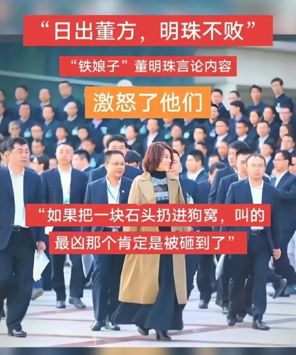 董明珠、石头砸狗窝的比喻火了。网友一针见血，叫得最凶的必是被砸中软肋。如今国内