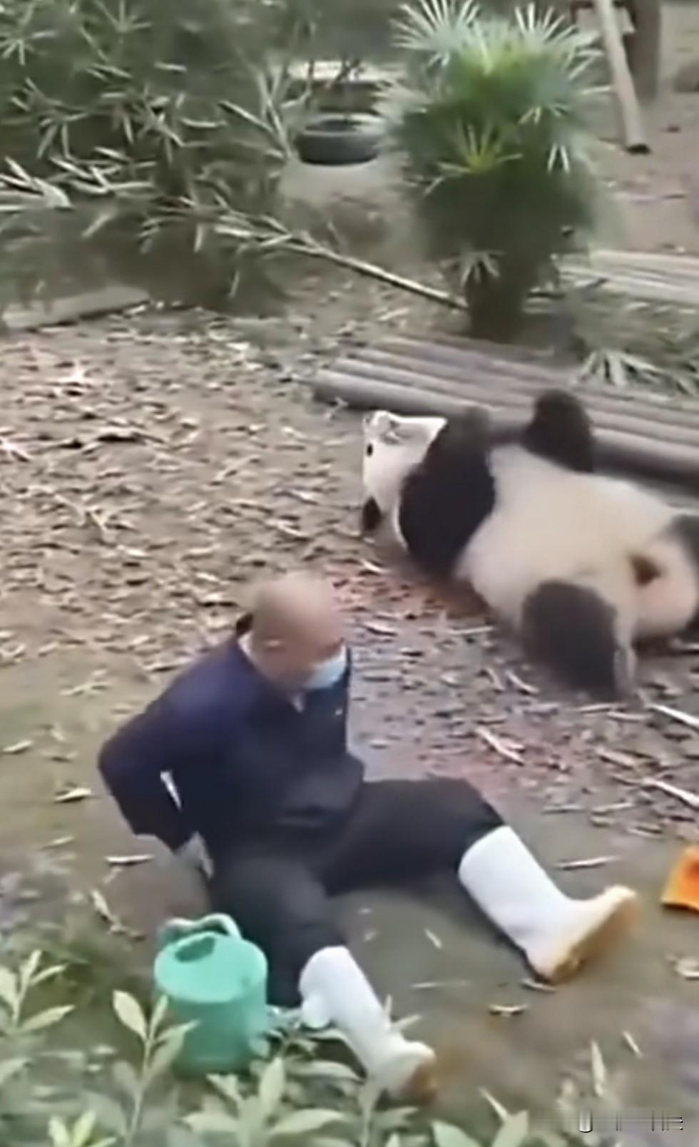 《剩下的全是爱》[捂脸哭][微