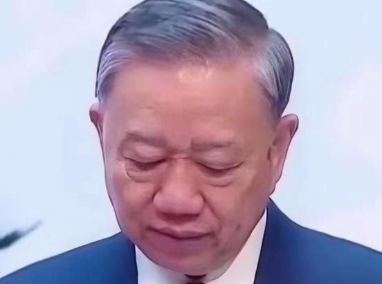 越南这场闹剧，终于还是没演下去。德国Vingroup公司宣布退出，670亿美金的