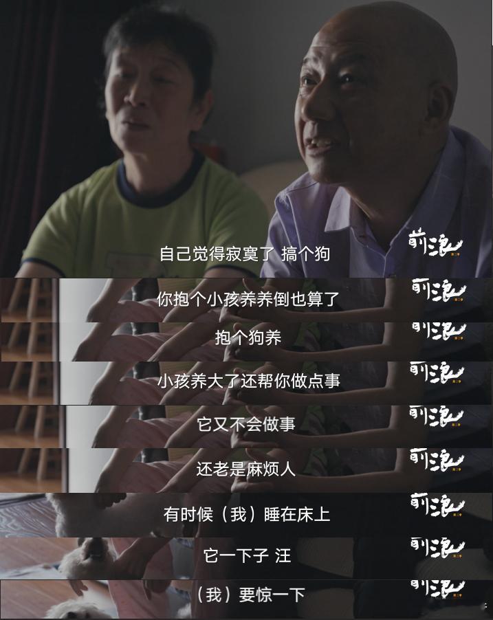 养了9年的狗和刚领证的70岁老伴选谁纪录片前浪2腾讯视频记录这段真实故事，一段