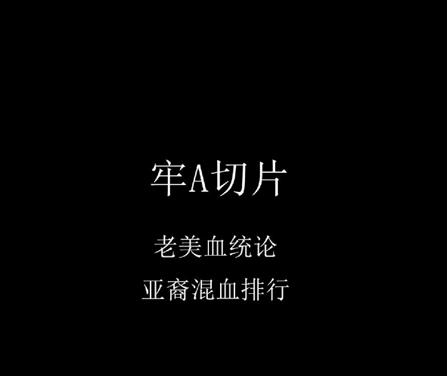 以前讲国外，欧美一条狗，一匹马都要讲个血统，结果一到讲混血人种时，就说混血儿漂亮