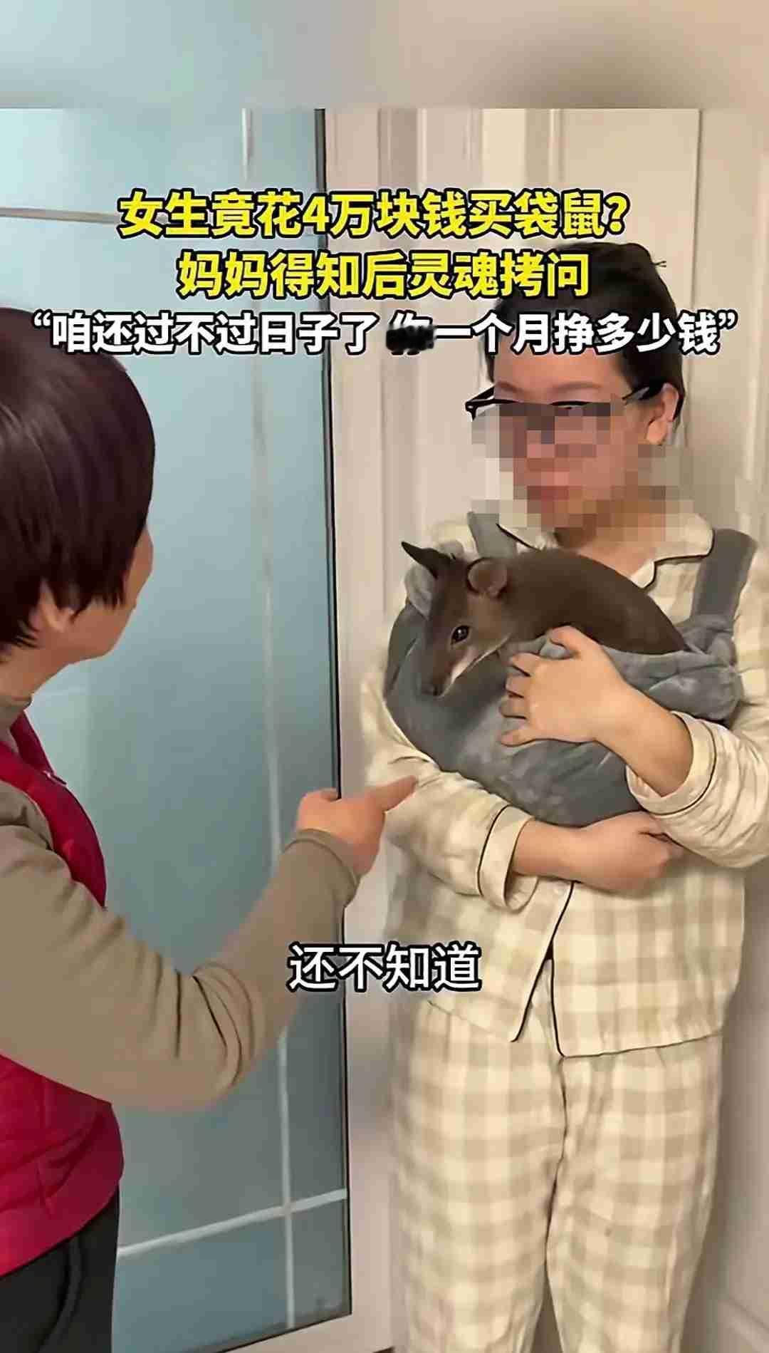 简直是败家子啊，花四万买一只袋鼠当宠物？要是我们家闺女这么败家，我大概不会像这个