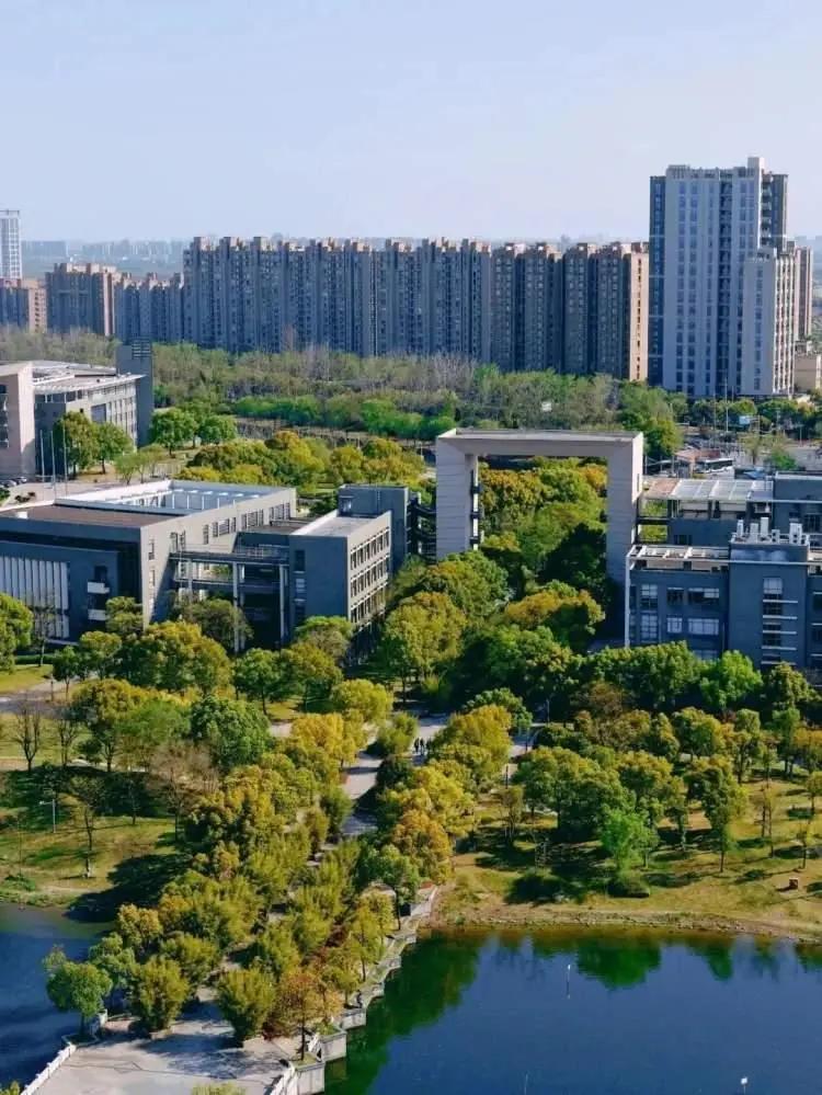 第二梯队是地方省属重点财经强校，以西南财经大学、中南财经政法大学、东北财经大学为