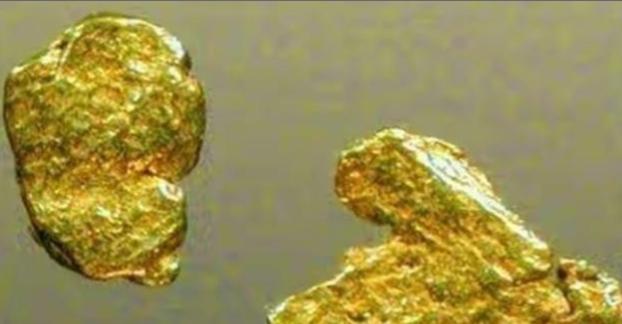 1980年，沈阳妇女黄淑珍带着3斤黄金来银行兑换。工作人员一眼就看出来她拿来的是