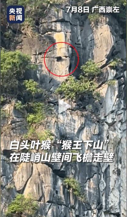 这网要是撒偏点，捞到沉船文物可就是另一个故事[微笑]7月9日的下午杭州余杭区就