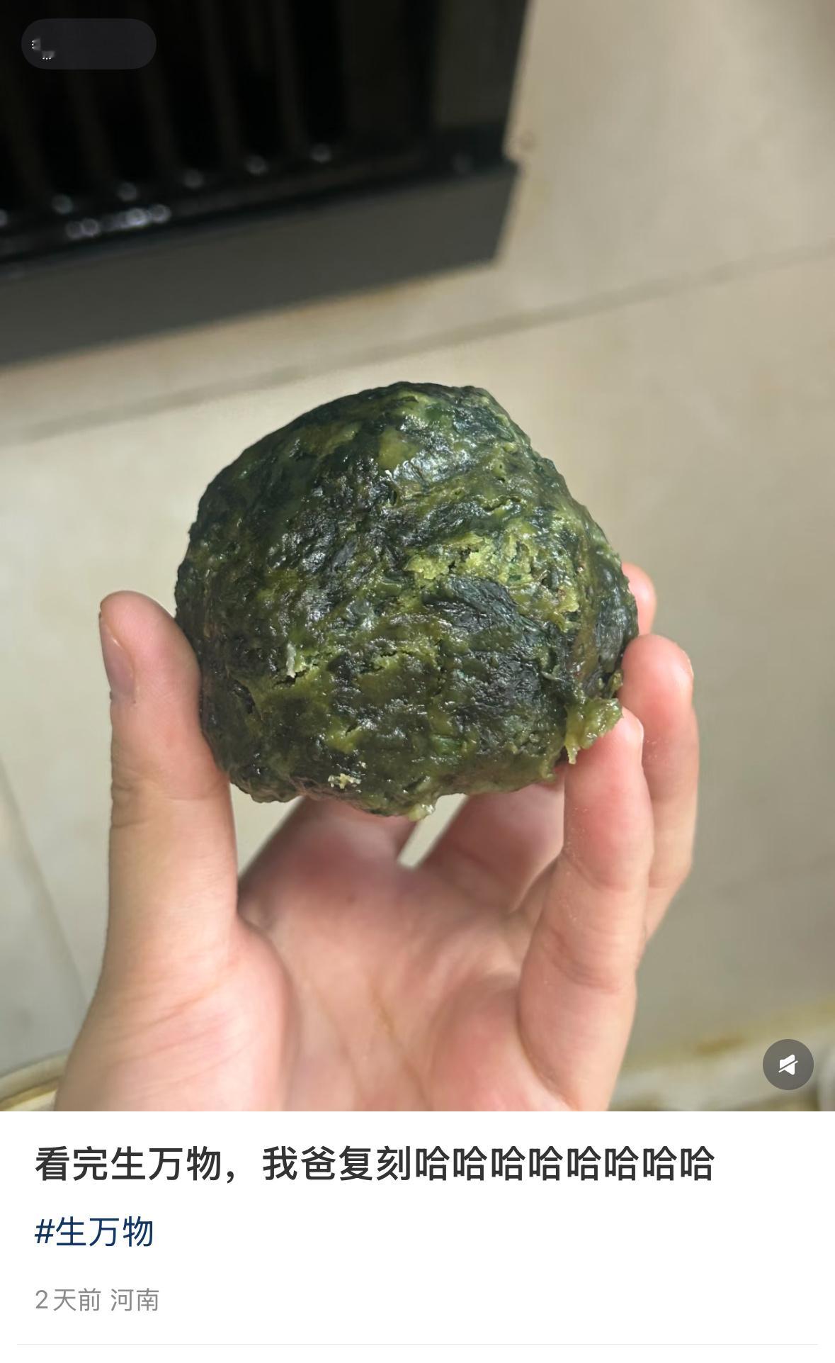 网友看生万物在家复刻菜疙瘩这个好吃吗？生万物​​​