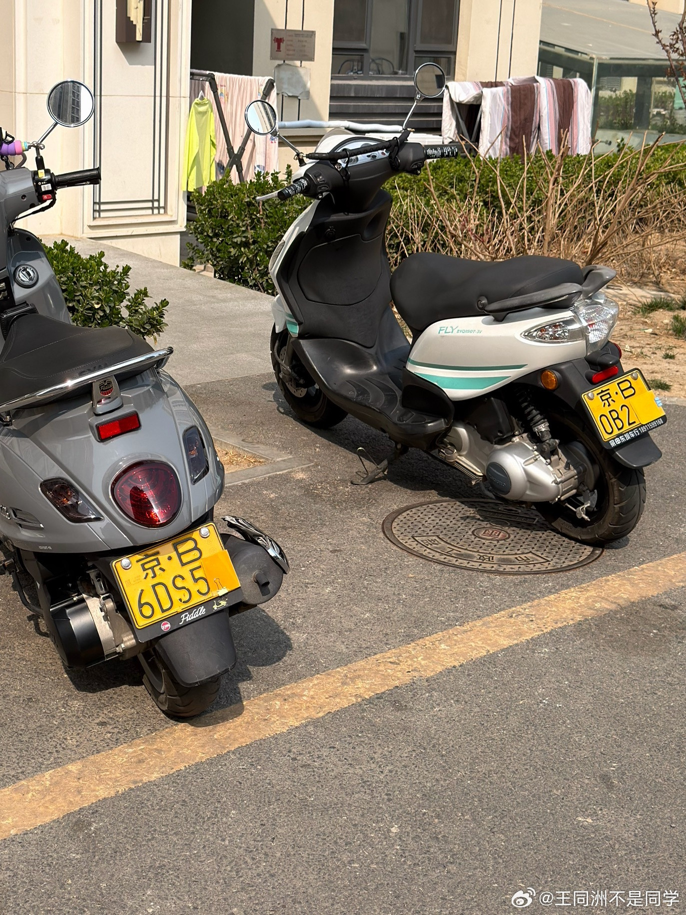 总有一帮最差劲的东西，一群屎，扰乱北京骑行环境这种故意遮挡号牌，拆号牌，改装牌照