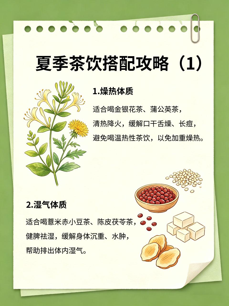 夏季茶饮搭配攻略，不同体质对症喝夏季茶饮不是随便喝的🥤，不同体质适合不同的茶