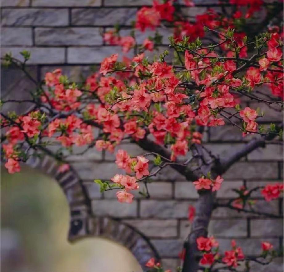 我有个大学室友，长得很漂亮，但家里条件不好。毕业那年，她同时被两个男生追求。