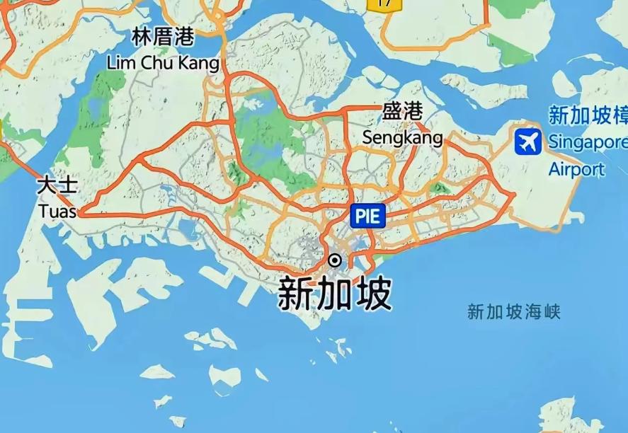 新加坡现在确实不太一样了！新加坡媒体现在的言论，或许不太中听，重要人物发话，