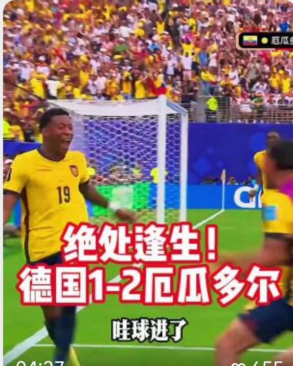 德国队也够阴的，放水厄瓜多尔，坑死韩国队！这样的球队往往自身难得善终！！世界杯