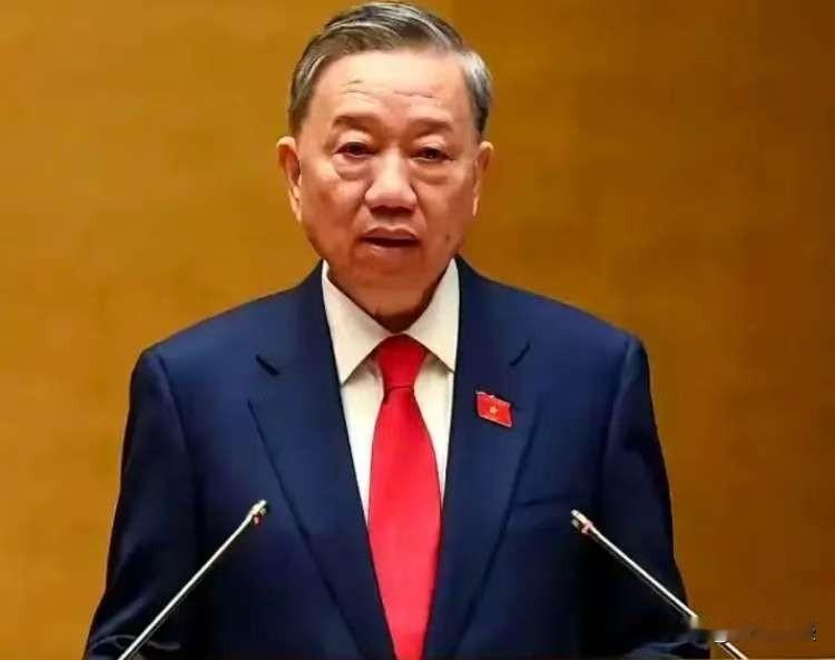 越南正在自食其果！最近越南传来个让人吃惊的消息日本驻越南大使在12月8号正式