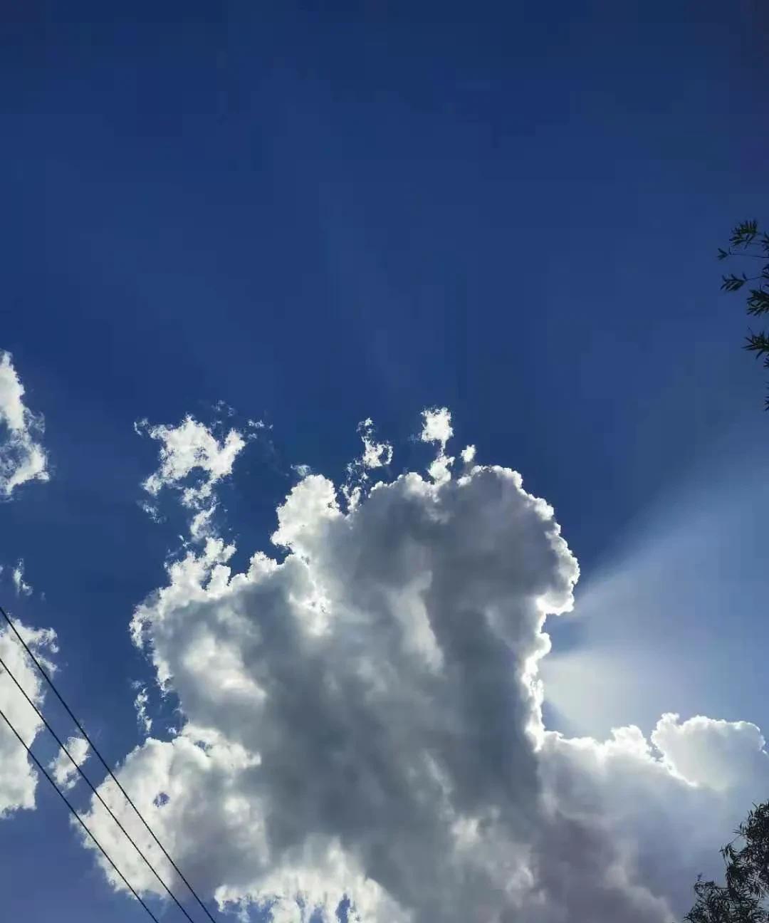 忘了是什么地方有口神奇的井，有缘人可以从里面看到自己的前世，慕名而去的人络绎不绝