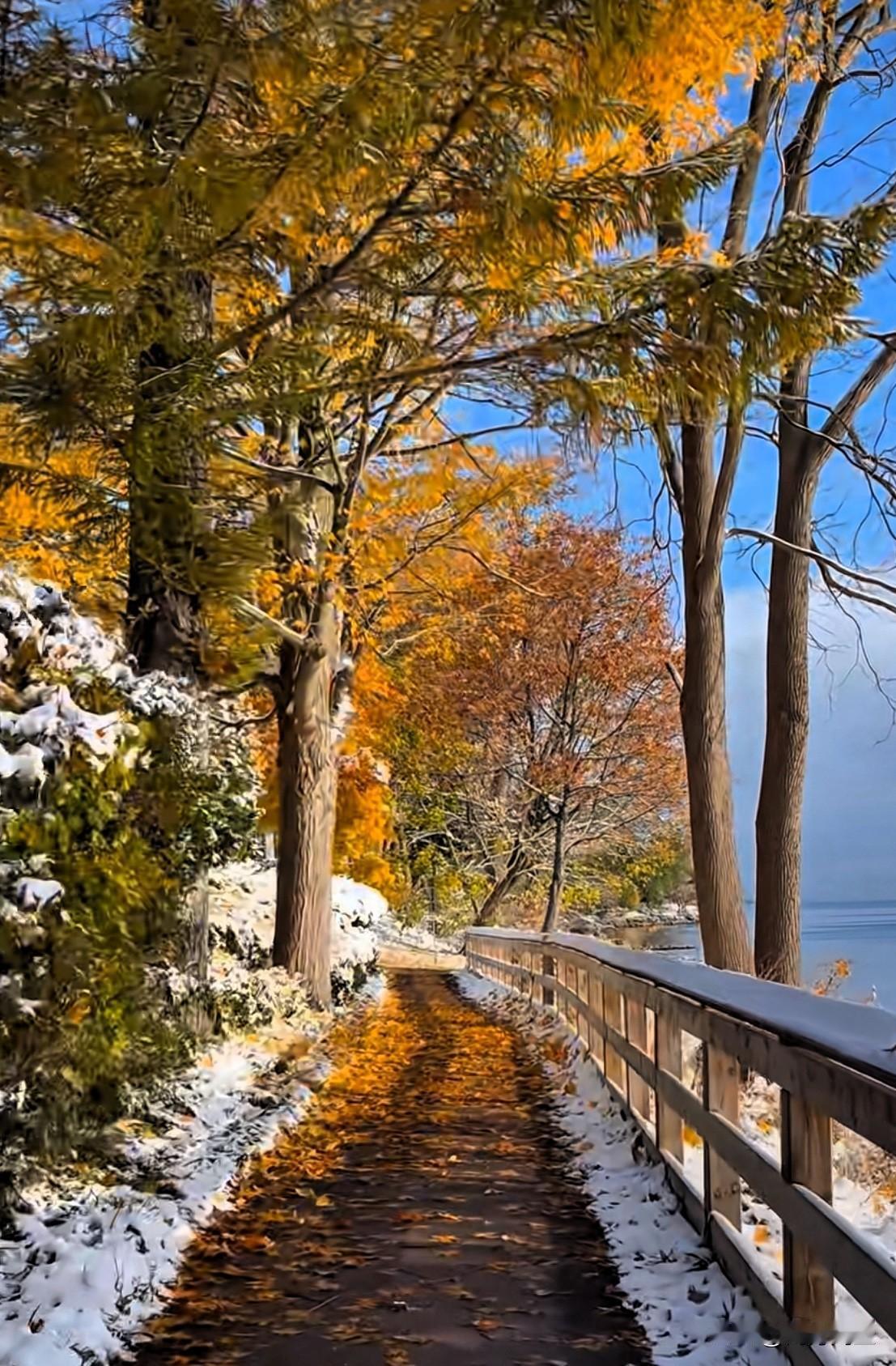 初冬的湖边，一场新雪刚刚停歇。阳光穿透云层，将晶莹的光晕洒在铺满黄叶的小径上。