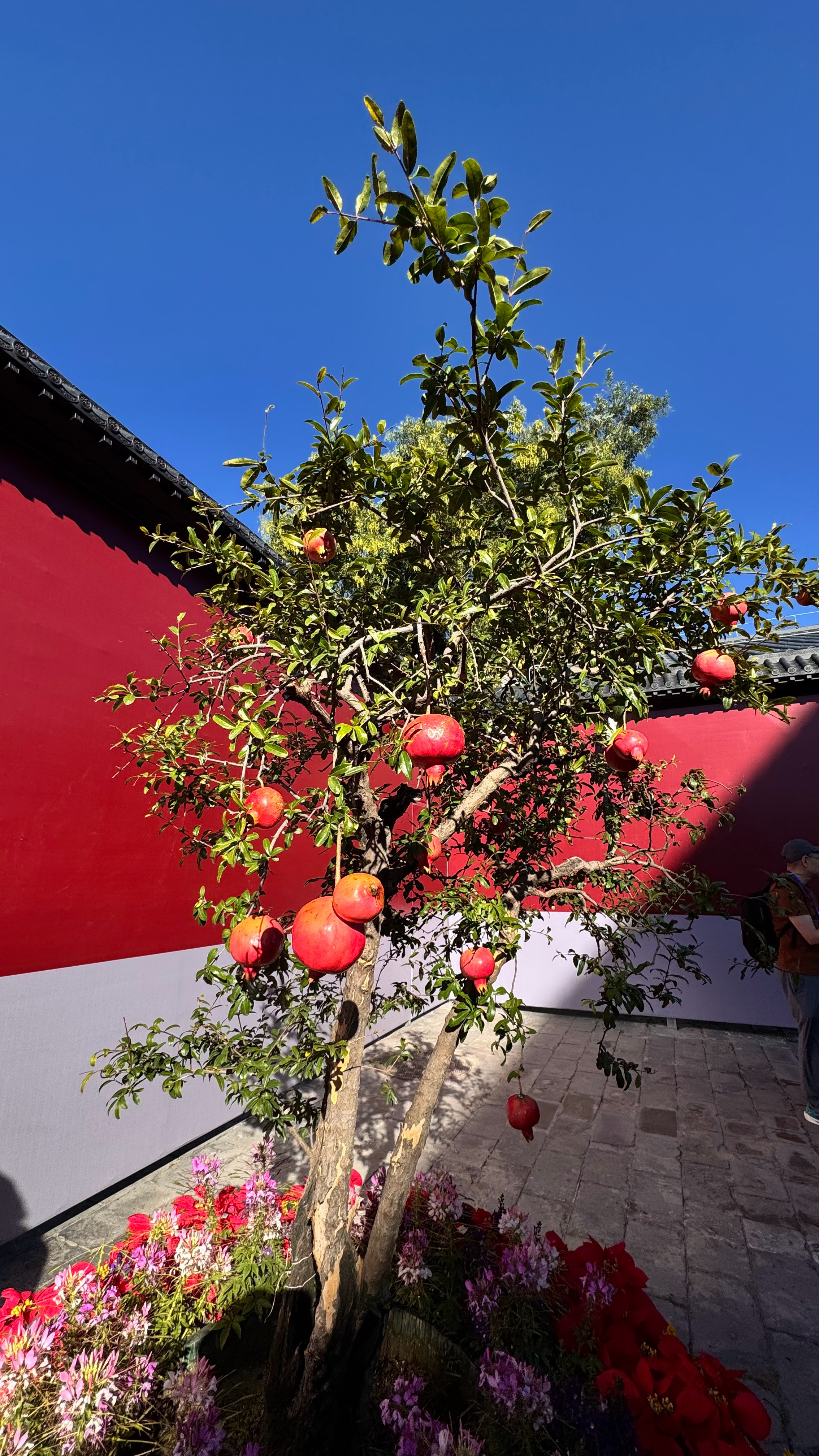 崭新的十月与国同庆🇨🇳🇨🇳🇨🇳北京·天安门广场专栏·走走