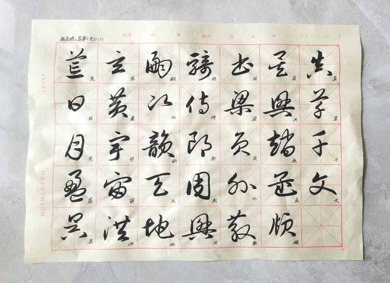 草书课稿。