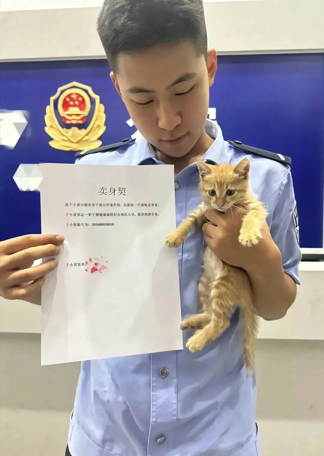 算是被迫他人签订不法合同吗？