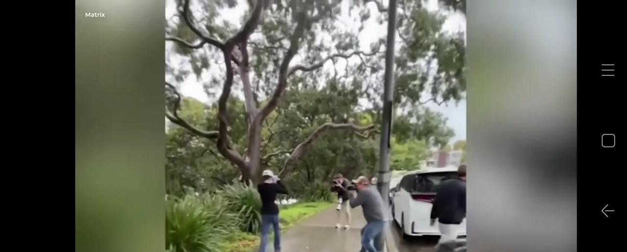 这个杨兰兰是谁？澳大利亚记者当街追问杨兰兰，你怎么回应饮酒驾车事件？你的兰博基尼
