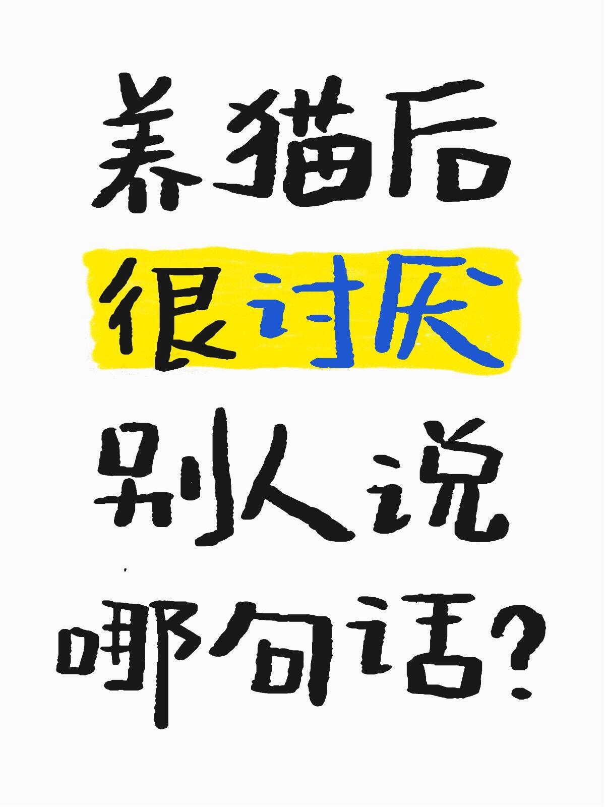 养猫后很讨厌别人说哪句话？​​​