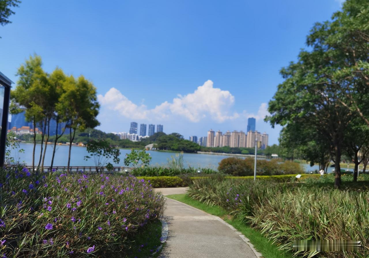 姚策要求转院安乐死？快拉倒吧！他求生欲望是很强烈的。从杭州转院到京北，他已经做了
