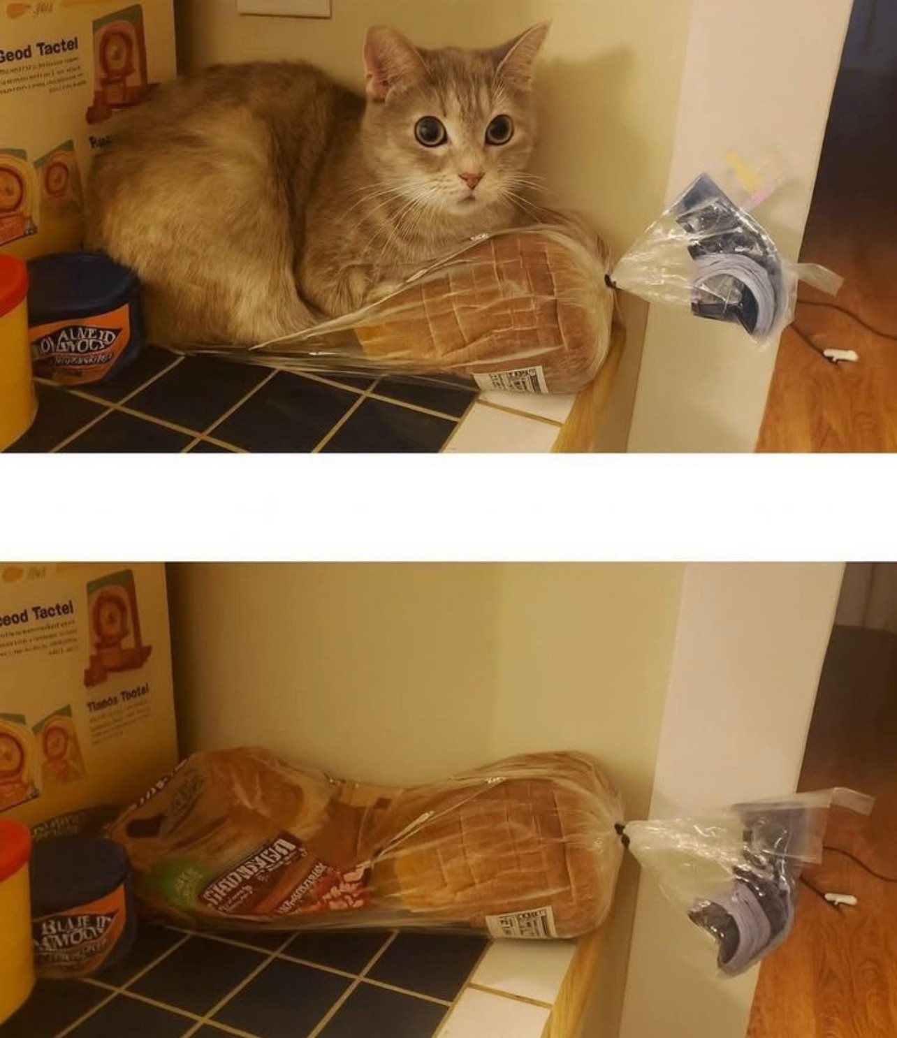 猫好，节省空间​​​